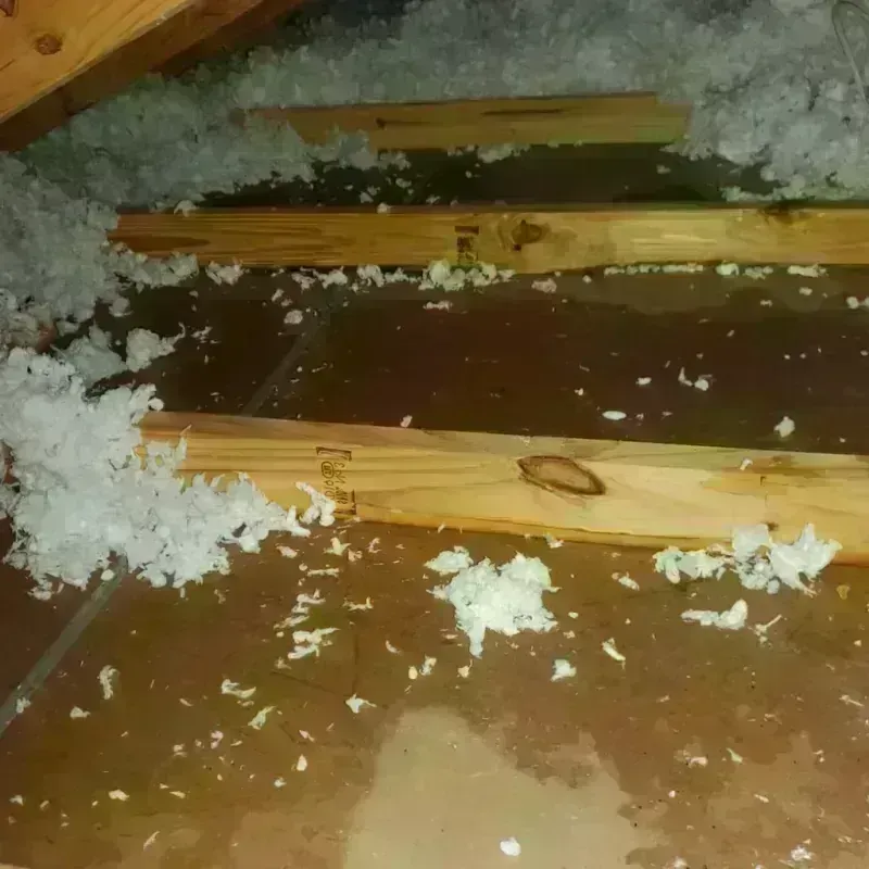 Attic Water Damage in Oldham County, KY